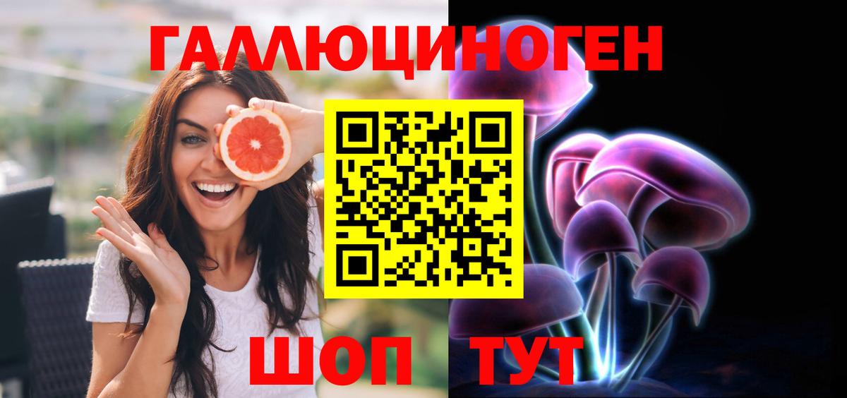 Галлюциногенные грибы Psilocybe Дзержинский