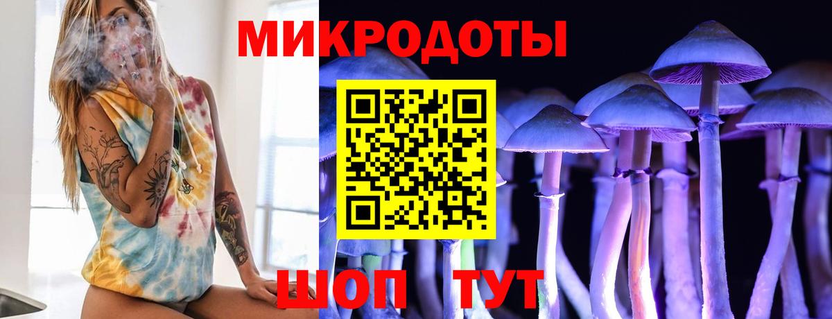 Галлюциногенные грибы Psilocybe  Вход с VPN  Дзержинский  Псилоцибиновые грибы Psilocybe 