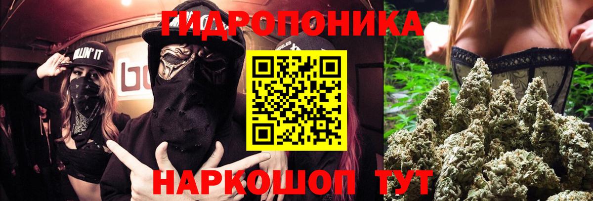 Канабис конопля Дзержинский